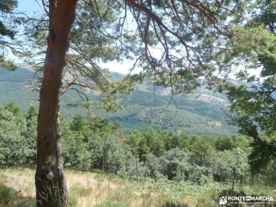 III Kilómetro Vertical - Pico de la Najarra; puente en diciembre asociacion de singles salinas imon 